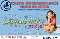 Colegio diocesano bilingüe Virgen del Espino
